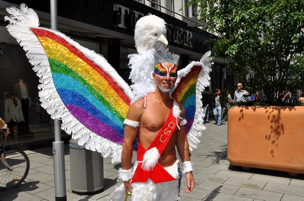 CSD_Demo   036.jpg